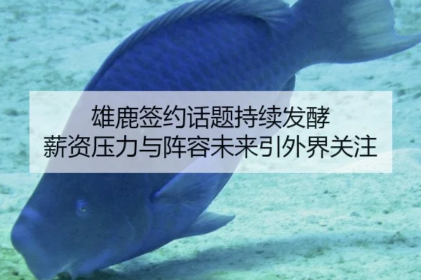雄鹿签约话题持续发酵 薪资压力与阵容未来引外界关注